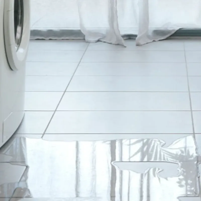 Appliance Leak Cleanup in Alamo, CA
